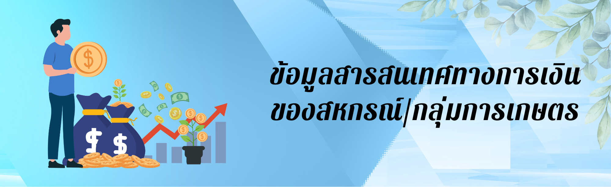 ข้อมูลสารสนเทศทางการเงินของสหกรณ์/กลุ่มเกษตรกร