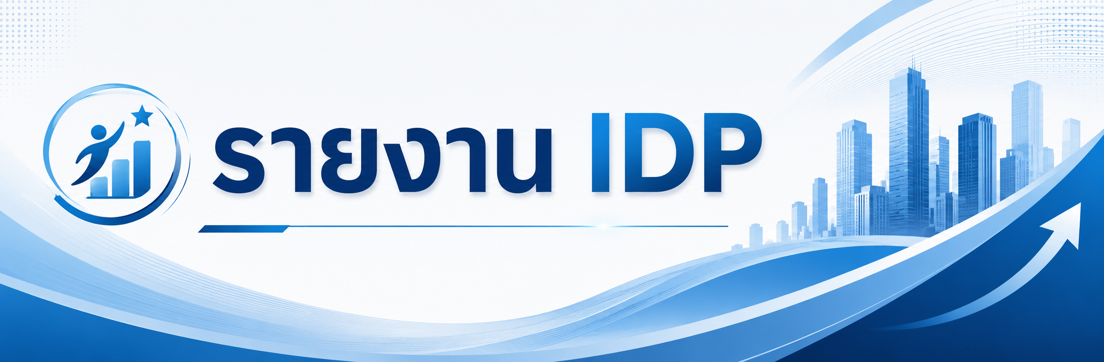 รายงาน IDP