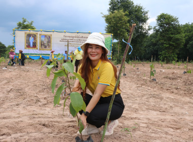 กิจกรรมปลูกต้นไม้เฉลิมพระเกียรติสมเด็จพระนางเจ้าสิริกิติ์ ... พารามิเตอร์รูปภาพ 6
