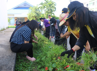 กิจกรรมปรับปรุงภูมิทัศน์ ... พารามิเตอร์รูปภาพ 7