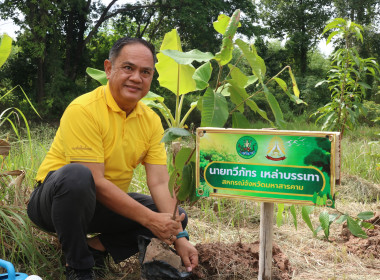 โครงการปลูกต้นไม้ สหกรณ์ทำความดีด้วยหัวใจ พารามิเตอร์รูปภาพ 2