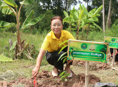 โครงการปลูกต้นไม้ สหกรณ์ทำความดีด้วยหัวใจ พารามิเตอร์รูปภาพ 6