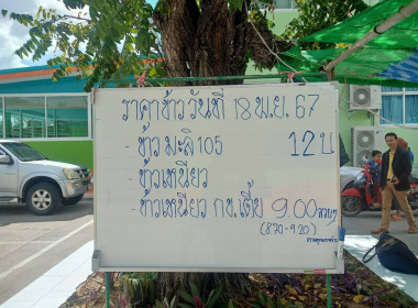 ตรวจเยี่ยม การรวบรวมข้าวเปลือกนาปี 2567/2568 ... พารามิเตอร์รูปภาพ 9