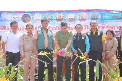 ร่วมพิธีเปิดแปลงเก็บเกี่ยวผลผลิตข้าวโพดเลี้ยงสัตว์ ... พารามิเตอร์รูปภาพ 1