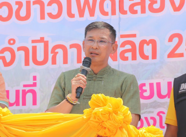 ร่วมพิธีเปิดแปลงเก็บเกี่ยวผลผลิตข้าวโพดเลี้ยงสัตว์ ... พารามิเตอร์รูปภาพ 2