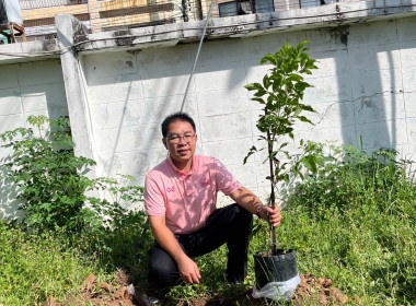 จัดกิจกรรมปลูกต้นไม้ เนื่องในวันต้นไม้ประจำปีของชาติ พ.ศ. ... พารามิเตอร์รูปภาพ 9