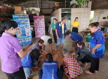 ประชุมเชิงปฏิบัติการ ... พารามิเตอร์รูปภาพ 9