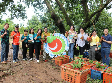 ร่วมโครงการเพิ่มศักยภาพการยกระดับคุณภาพผลไม้ของสหกรณ์และกลุ่มเกษตรกรจังหวัดตราด ... พารามิเตอร์รูปภาพ 2