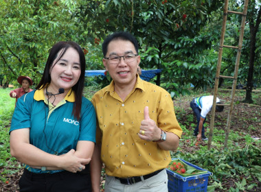 ร่วมโครงการเพิ่มศักยภาพการยกระดับคุณภาพผลไม้ของสหกรณ์และกลุ่มเกษตรกรจังหวัดตราด ... พารามิเตอร์รูปภาพ 4