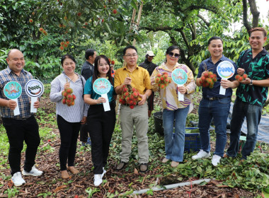 ร่วมโครงการเพิ่มศักยภาพการยกระดับคุณภาพผลไม้ของสหกรณ์และกลุ่มเกษตรกรจังหวัดตราด ... พารามิเตอร์รูปภาพ 5