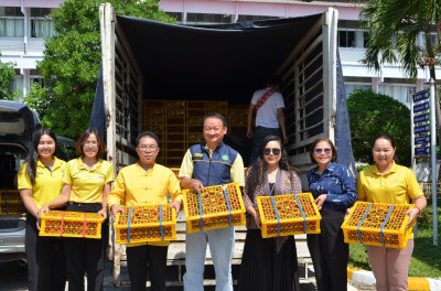 ร่วมกับสหกรณ์การเกษตรบรบือ จำกัด ... พารามิเตอร์รูปภาพ 1