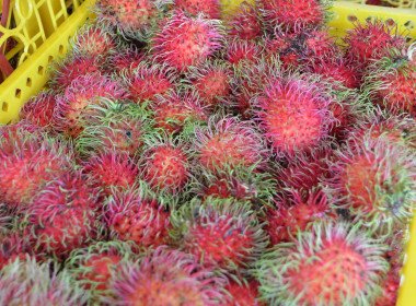 ร่วมกับสหกรณ์การเกษตรบรบือ จำกัด ... พารามิเตอร์รูปภาพ 5