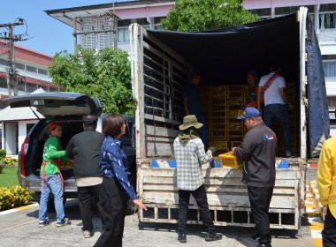 ร่วมกับสหกรณ์การเกษตรบรบือ จำกัด ... พารามิเตอร์รูปภาพ 6