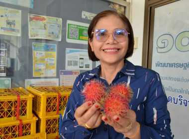 ร่วมกับสหกรณ์การเกษตรบรบือ จำกัด ... พารามิเตอร์รูปภาพ 4