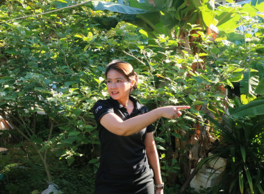 จัดกิจกรรม 5 ส. Big Cleaning Day ปรับปรุงภูมิทัศน์ ... พารามิเตอร์รูปภาพ 7