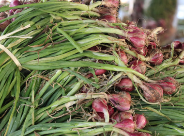 ขบวนการสหกรณ์จังหวัดมหาสารคาม กระจายหอมแดงสด ศรีสะเกษ ... พารามิเตอร์รูปภาพ 6