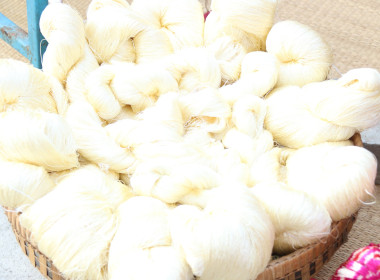 ร่วม "งานแถลงข่าวประเพณีบุญเบิกฟ้าและงานกาชาด ... พารามิเตอร์รูปภาพ 11