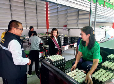 ลงพื้นที่ ... พารามิเตอร์รูปภาพ 3