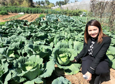 ลงพื้นที่ตรวจเยี่ยมและติดตามผลการดำเนินงานสหกรณ์การเกษตรศรีชื่นชม จำกัด ... พารามิเตอร์รูปภาพ 2