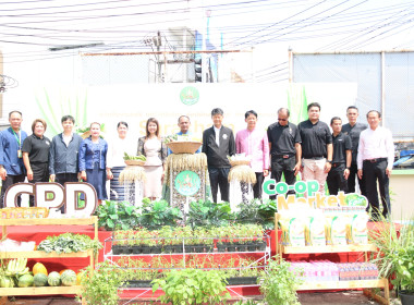 พิธีเปิดโครงการฯ ภายใต้ชื่องาน Sarakham Green Life &amp; Co-op ... พารามิเตอร์รูปภาพ 1