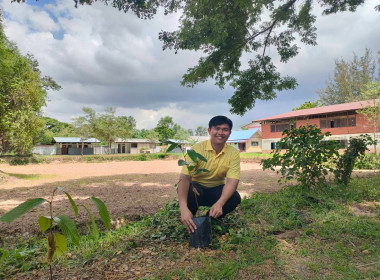 จัดกิจกรรมโครงการปลูกต้นไม้ “สหกรณ์อาสา ทำความดีด้วยหัวใจ ... พารามิเตอร์รูปภาพ 3
