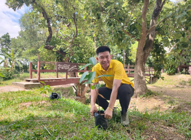 จัดกิจกรรมโครงการปลูกต้นไม้ “สหกรณ์อาสา ทำความดีด้วยหัวใจ ... พารามิเตอร์รูปภาพ 4