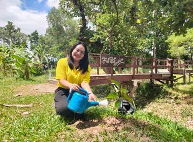 จัดกิจกรรมโครงการปลูกต้นไม้ “สหกรณ์อาสา ทำความดีด้วยหัวใจ ... พารามิเตอร์รูปภาพ 8