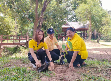 จัดกิจกรรมโครงการปลูกต้นไม้ “สหกรณ์อาสา ทำความดีด้วยหัวใจ ... พารามิเตอร์รูปภาพ 9