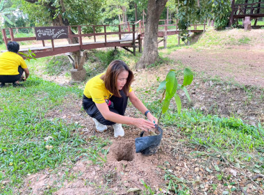 จัดกิจกรรมโครงการปลูกต้นไม้ “สหกรณ์อาสา ทำความดีด้วยหัวใจ ... พารามิเตอร์รูปภาพ 15